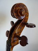 Intermediate Cellos